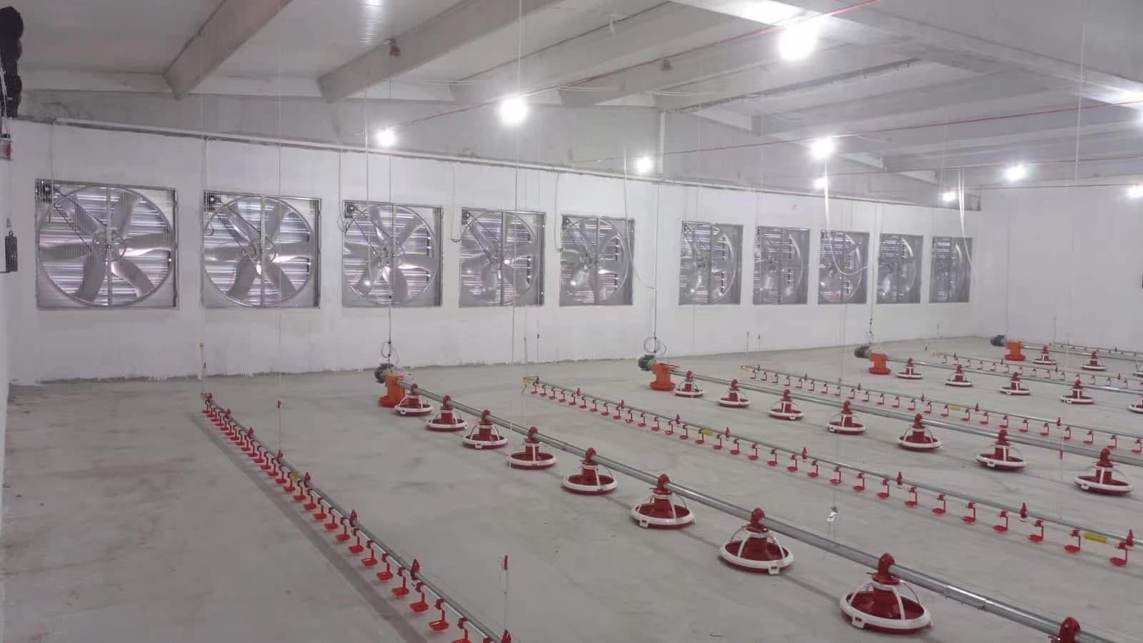 chicken house VENTILADOR _n