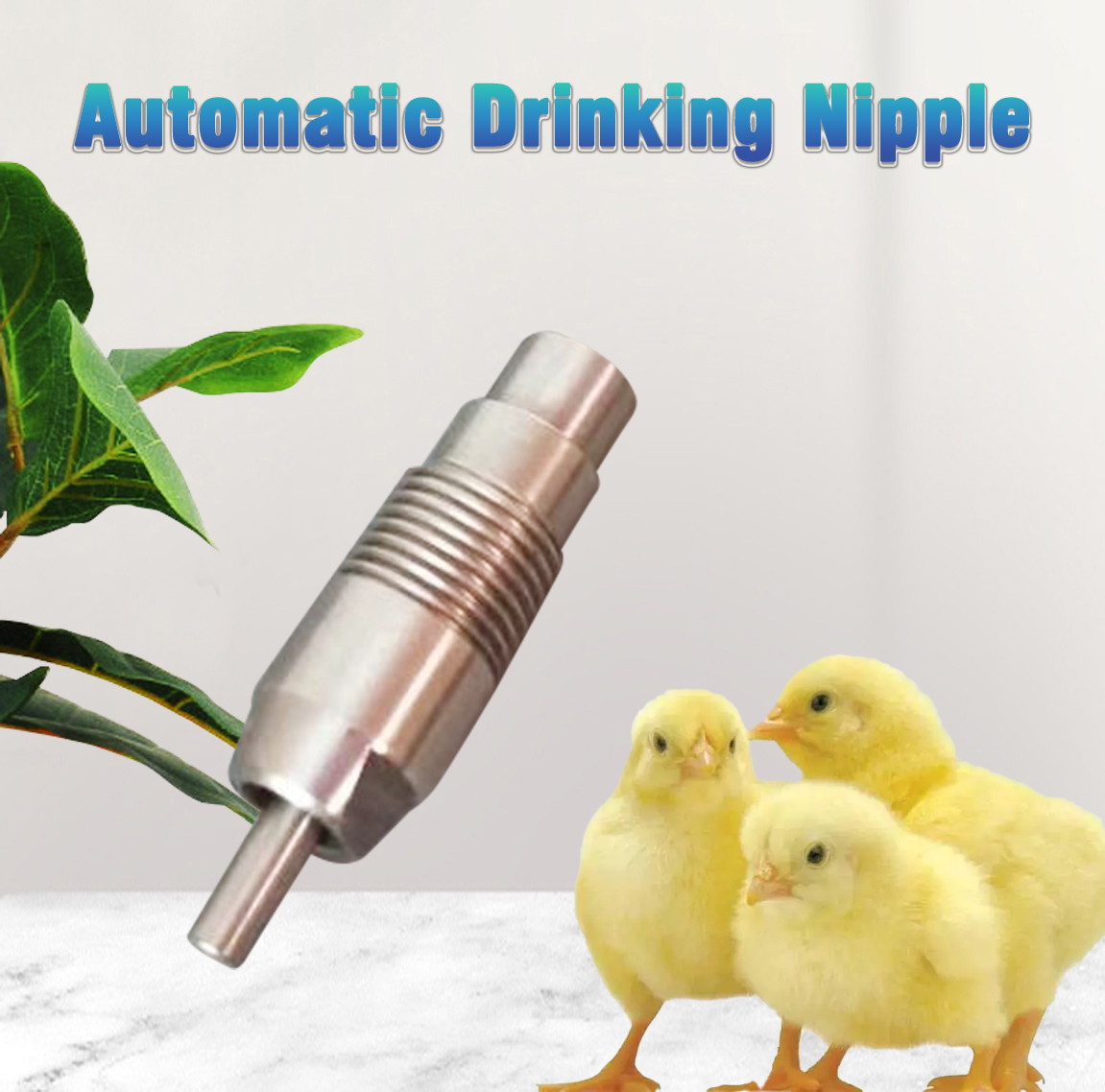 chicken nipple drinker bebedero de tetina (5)