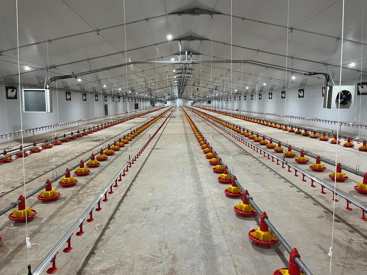 chicken  farm  363935534_792437626215328_6315947082297468067_n