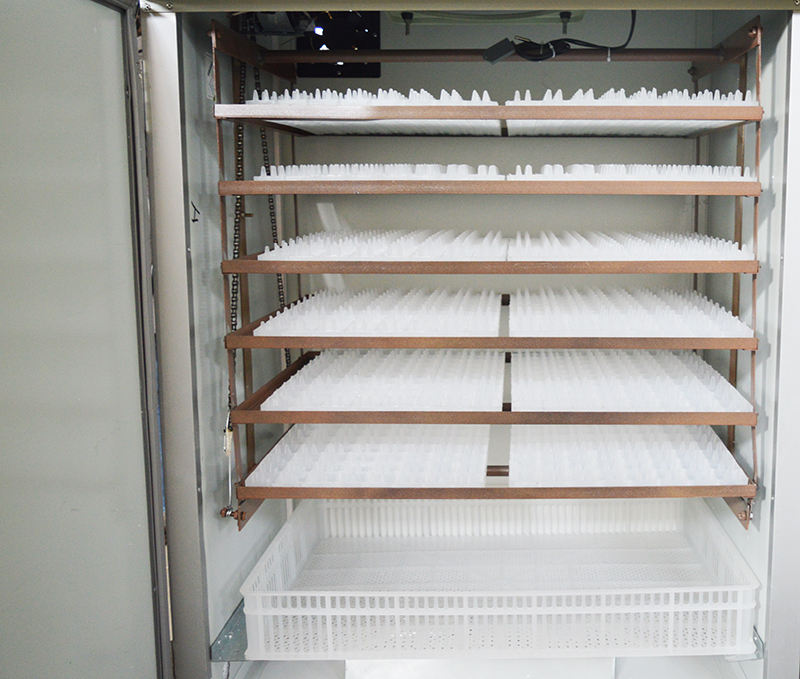 egg incubator incubadora38