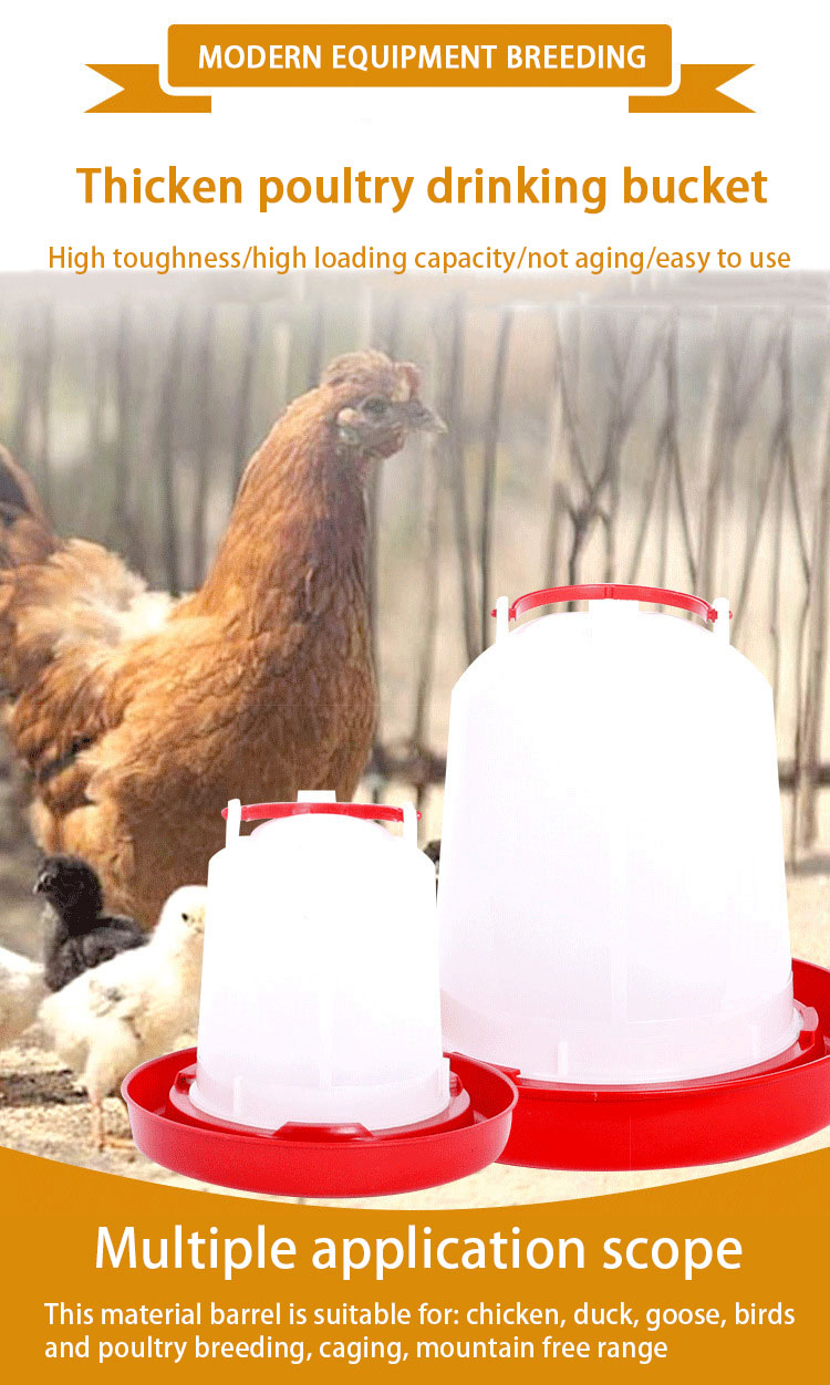 drinker bucket cubo bebedero (3)