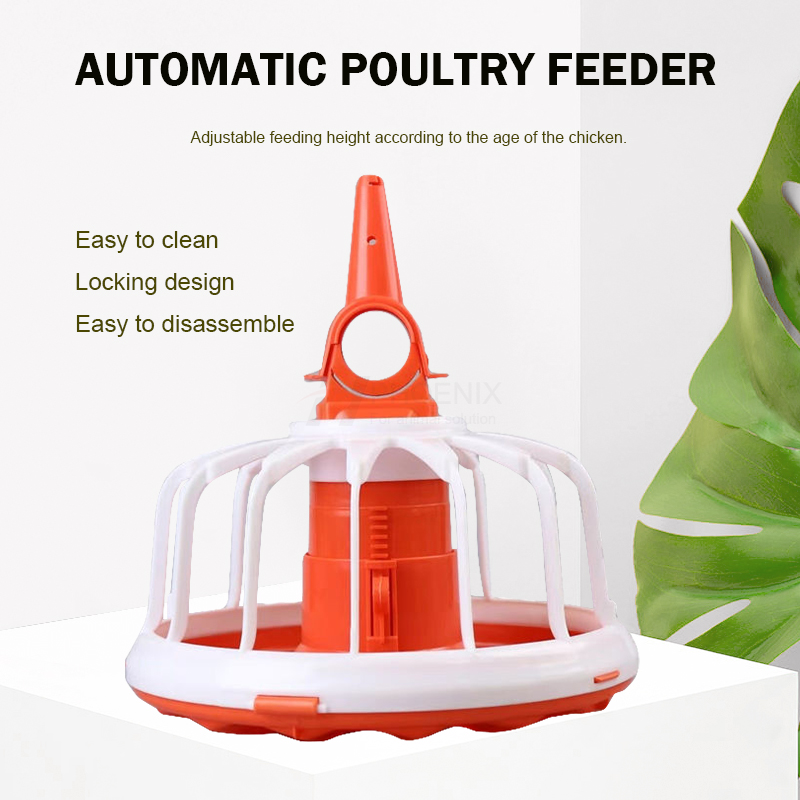 automatic feeder pan  plato alimentador automático