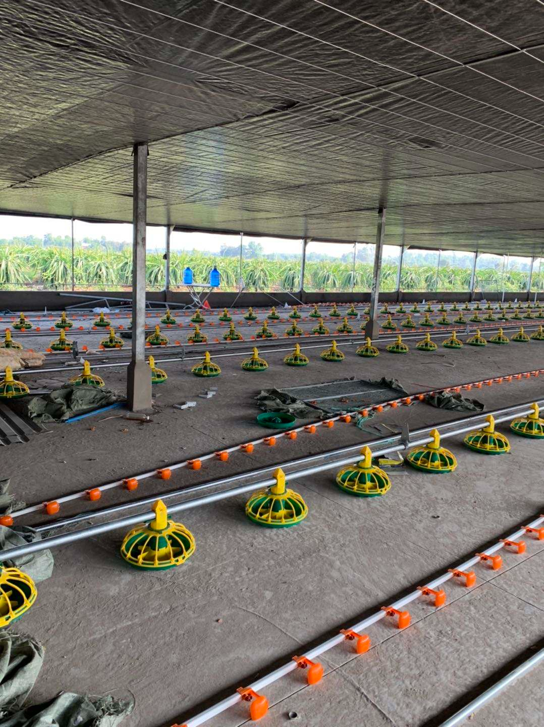 feeder poultry  (2) comedero para aves (2)