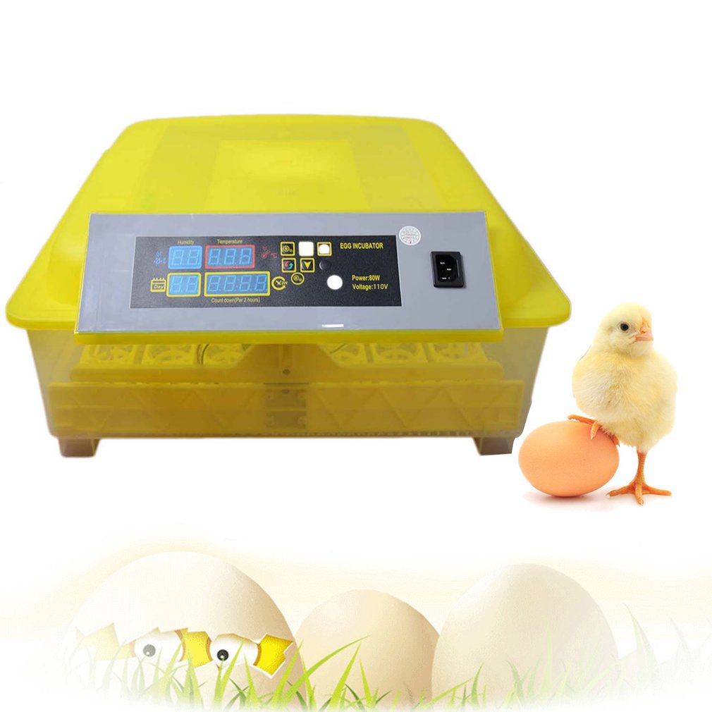 mini egg incubator mini incubadora00102