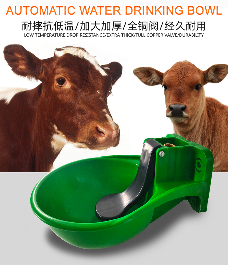 cow drinking water bowl H58e2722c8776469ab4e753487820baf9z