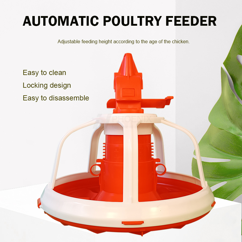 automatic feeder pan  plato alimentador automático