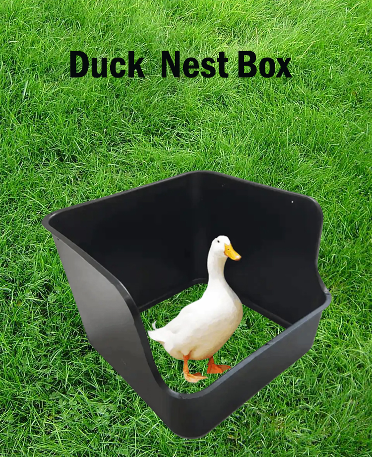 chicken nest box  caja nido para pollos