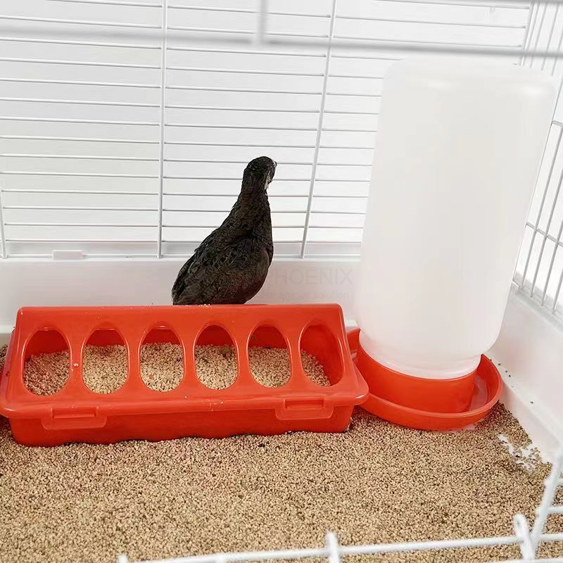 chick drinker (22) bebedero para pollitos (22)