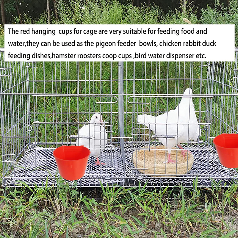 pigeon feeder (8) comedero para palomas (8)