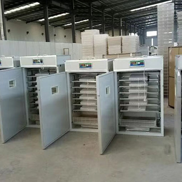 egg incubator incubadora1