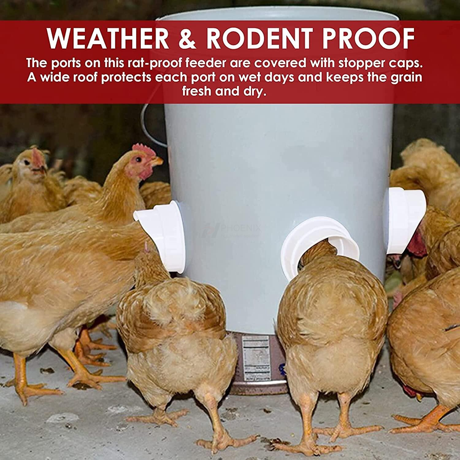 chicken feeder kit (2) kit de comedero para pollos (2)