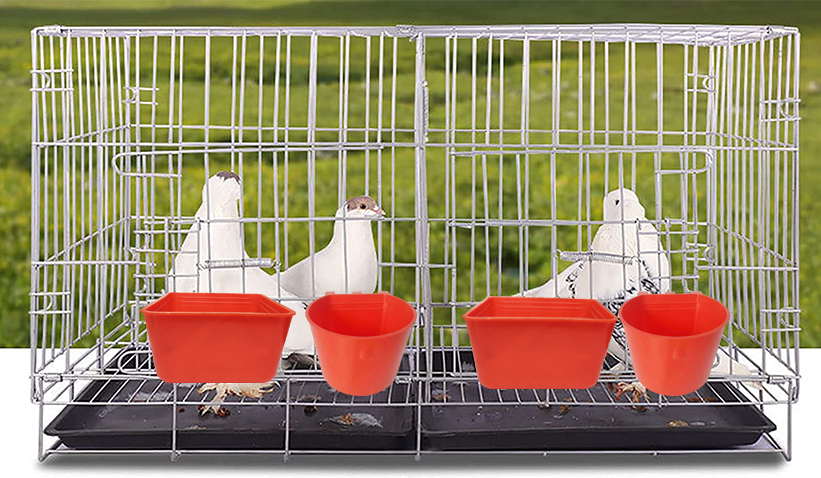 pigeon feeder 10 comedero para palomas 10