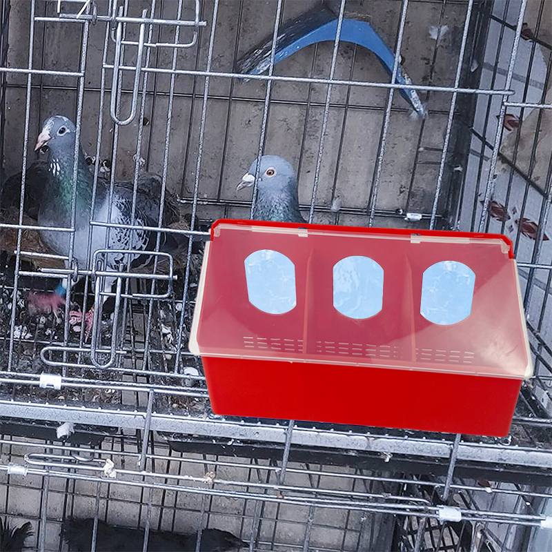 pigeon feeder (3) comedero para palomas (3)