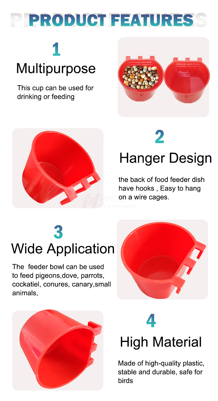 poultry feeder and drinker comedero y bebedero para aves