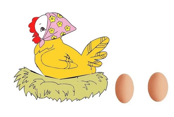 esteras de huevo de gallina