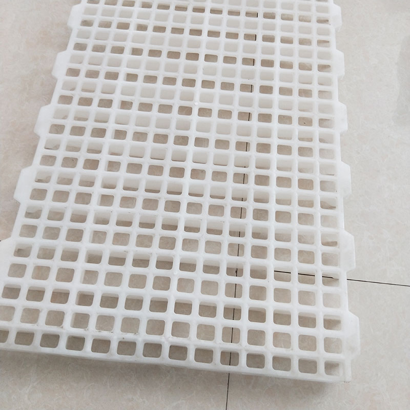 suelo para gallinas800x800