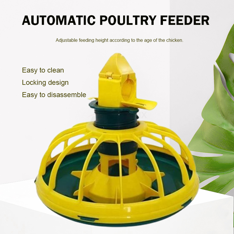 feeder poultry  comedero para aves de corral