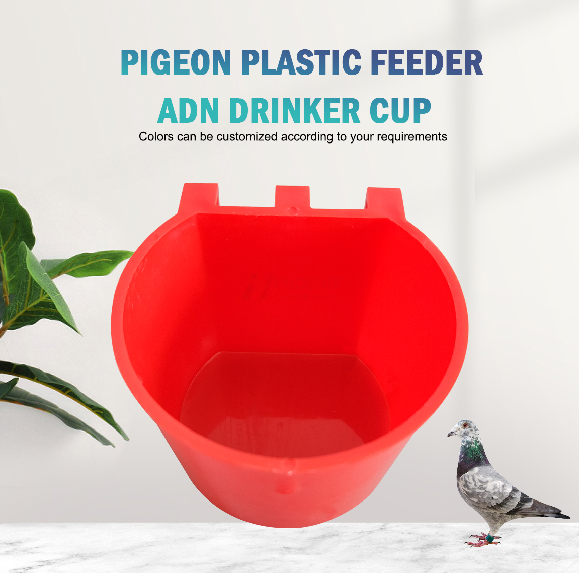 PIGEON FEEDING BOX CAJA DE ALIMENTACIÓN PARA PALOMAS