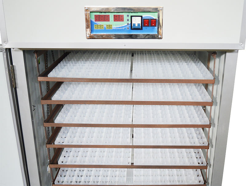 egg incubator incubadora3