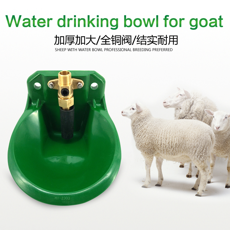 sheep drinking bowl H039085191399420f9ae01fd01c85f975x