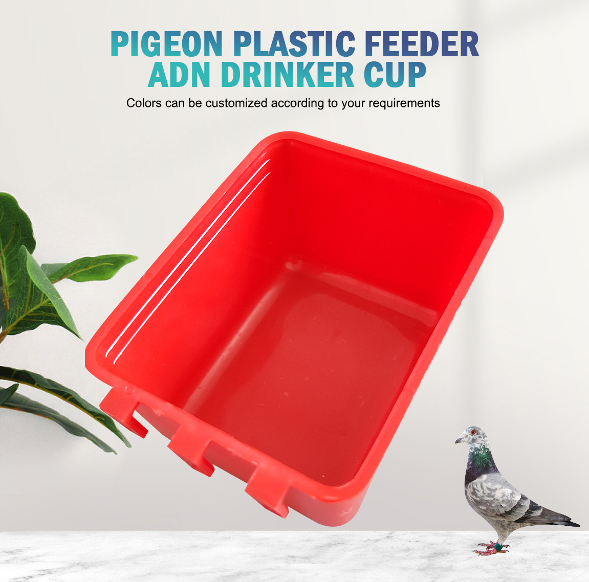 PIGEON FEEDING BOX CAJA DE ALIMENTACIÓN PARA PALOMAS