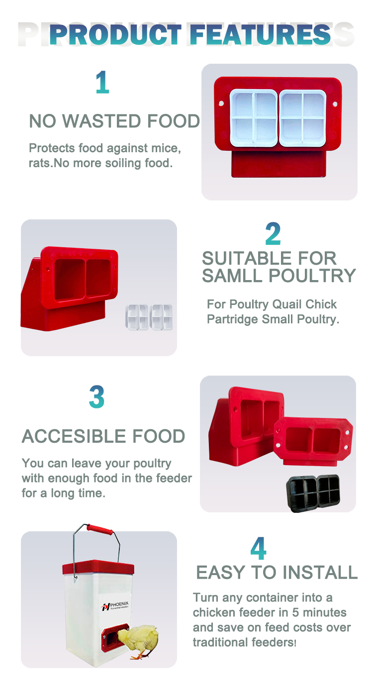 chicken feeder kit5 kit de comedero para pollos5