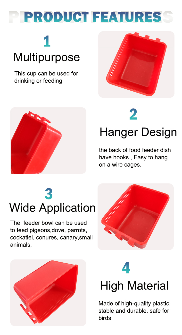 poultry feeder and drinker comedero y bebedero para aves