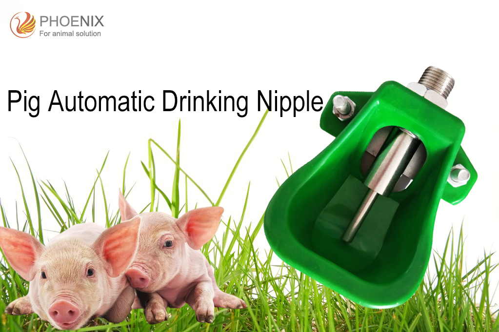 drinker nipplejpg pezón bebedorjpg