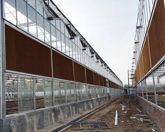 cooling pad Uf33be4d13f6e42b29740c663be0ec3ec7.jpg_960x960