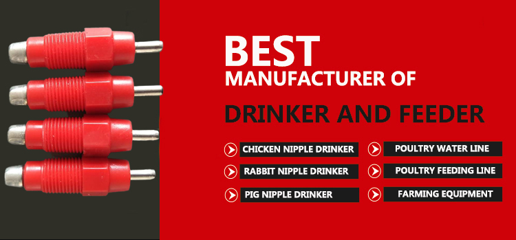 red  nipple drinker bebedor de tetina roja