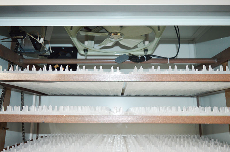 egg incubator incubadora36