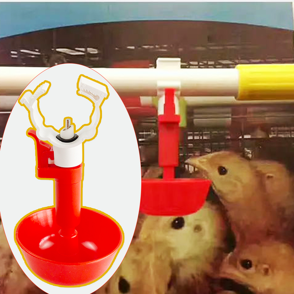 bebedero para pollo (1)