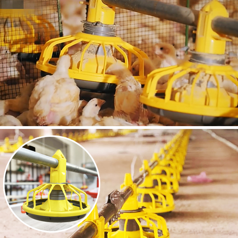  ¿Necesita comederos para pollos?