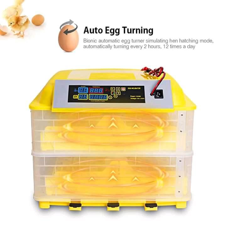 incubadora de huevos