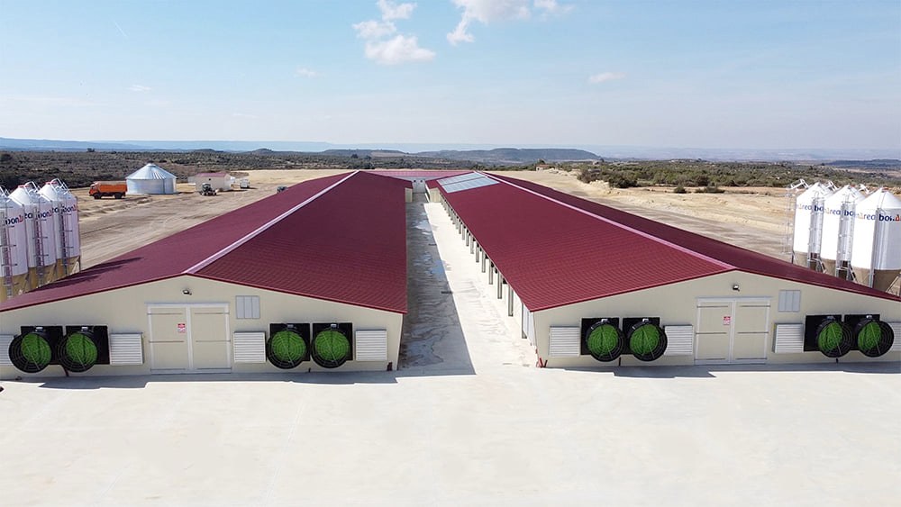 Cómo controlar la temperatura y la humedad en los gallineros
