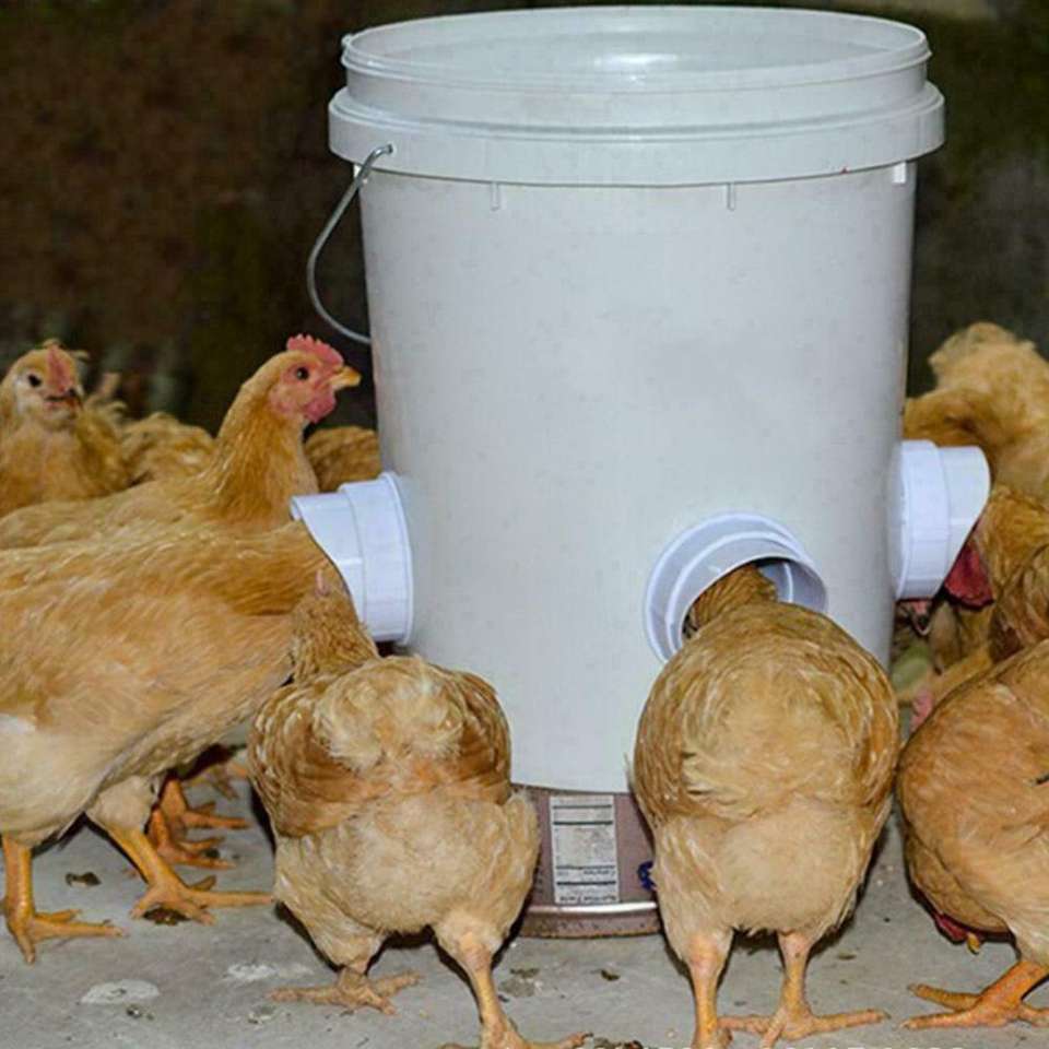 Comedero para pollos con codo sin ensuciar