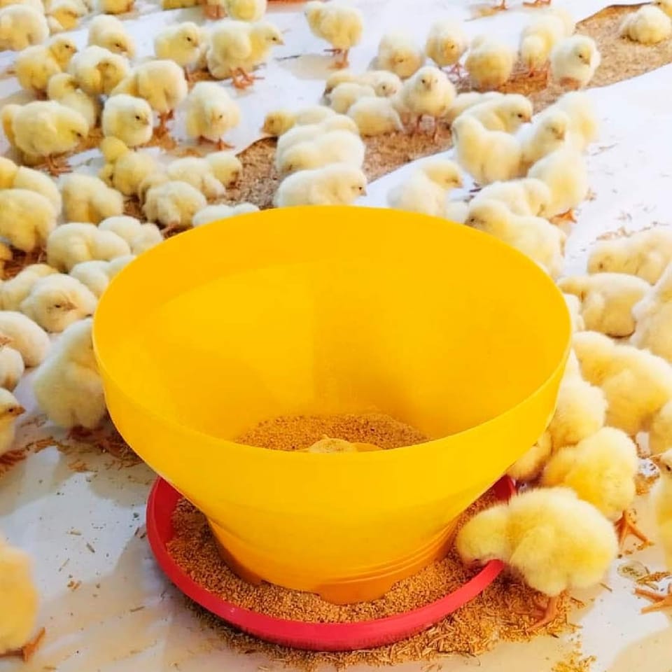 cubeta turboalimentadora para pollos (2)