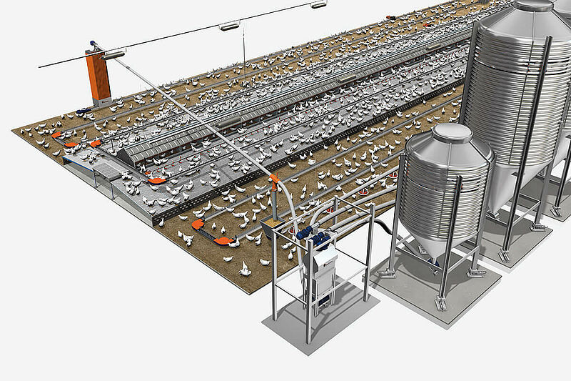 Cómo utilizar el sistema de alimentación en cadena en una granja de reproductores