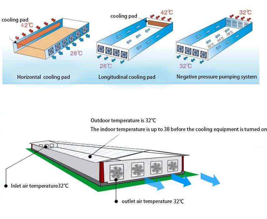 equipo para granja de pollos (24)