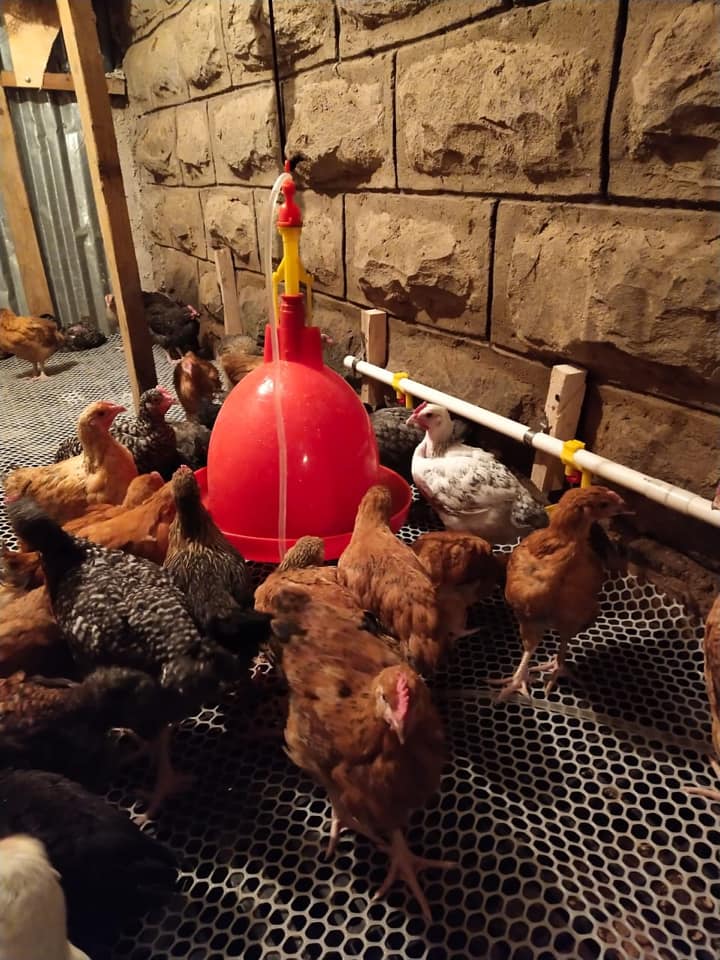 104878662_751032735641722_1335864885708342948_n