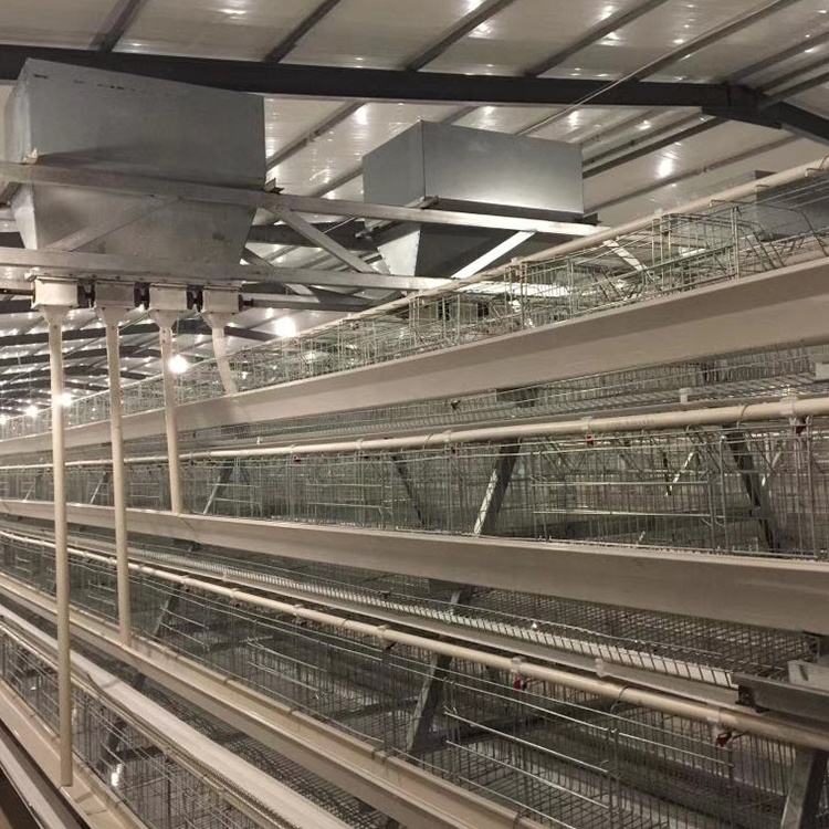 jaula para pollos (7)