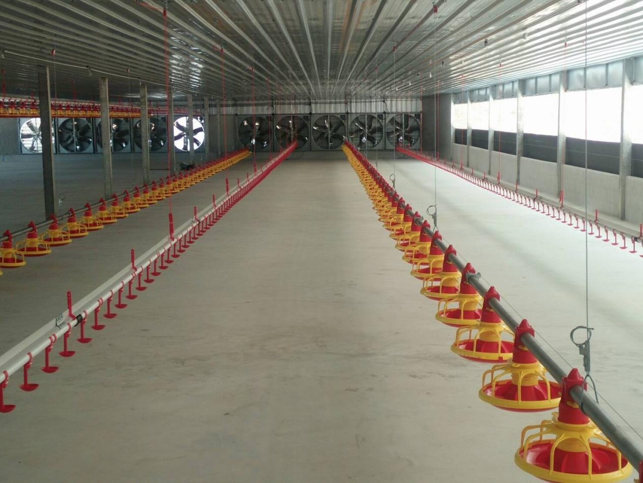 ¿Por qué es importante ventilar el gallinero automático?