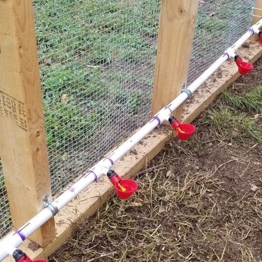 bebedero de animales 