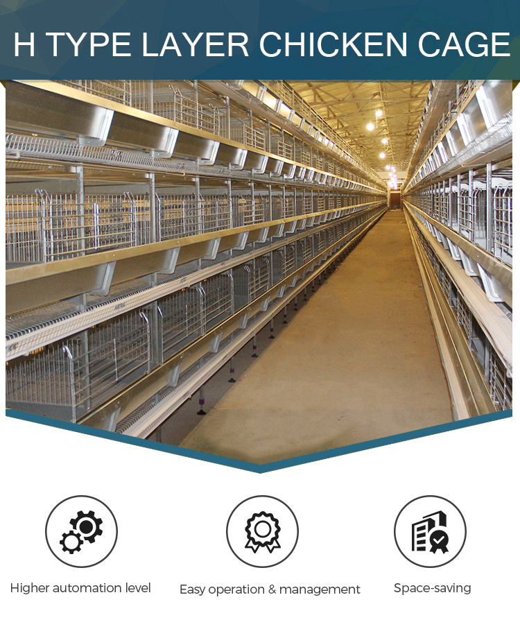 Hf037ec13317548de9b23f0f77f8cfcfcP