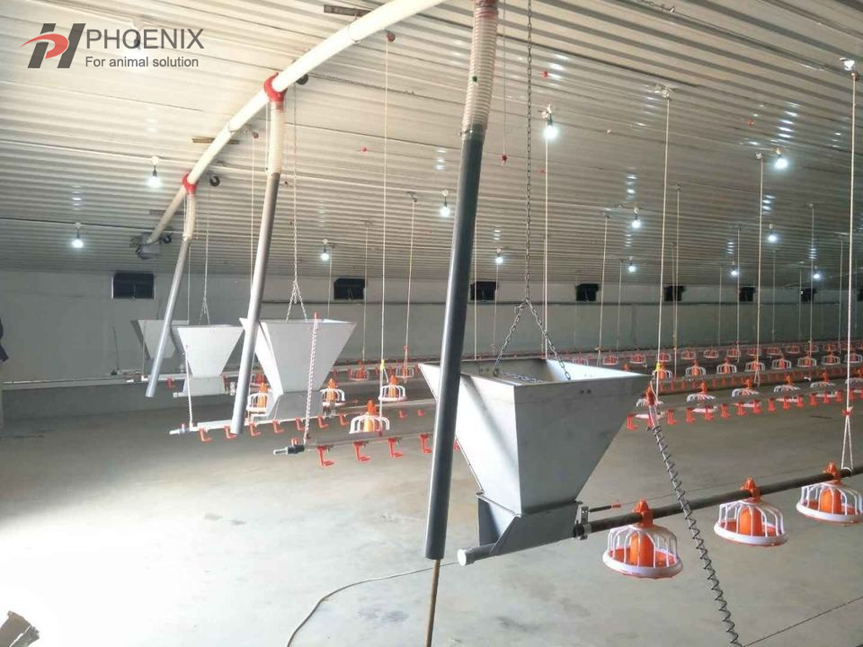 Sistema de alimentación automática Línea de alimentación y bebida para aves de corral