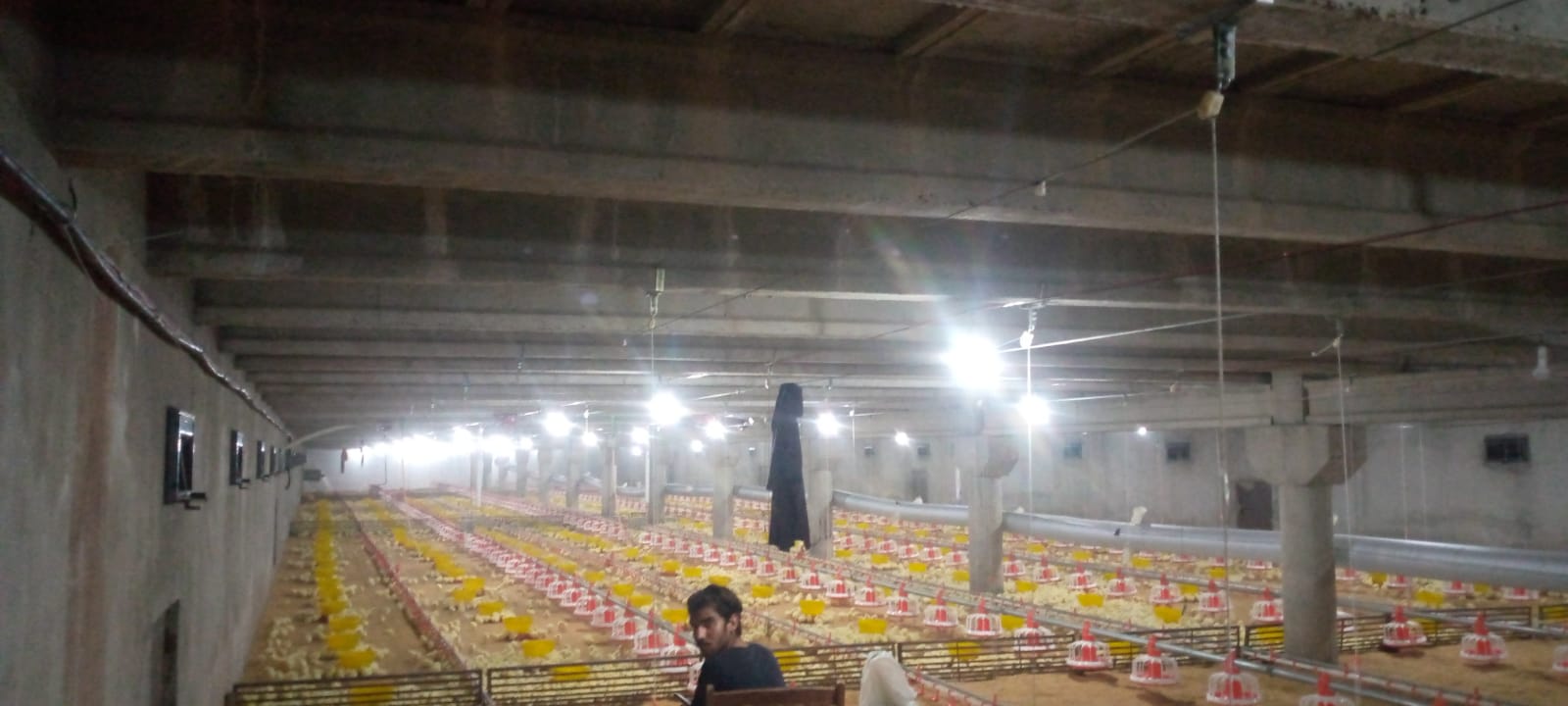 gallinero autom&aacute;tico (4)