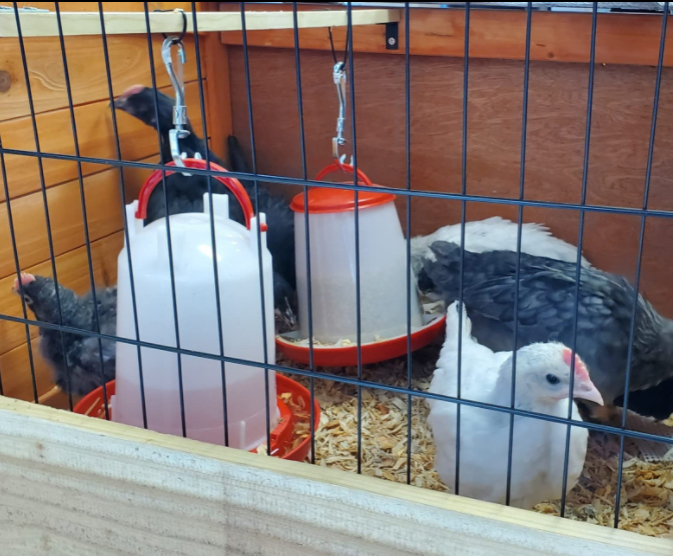 微信图片_20230221120341