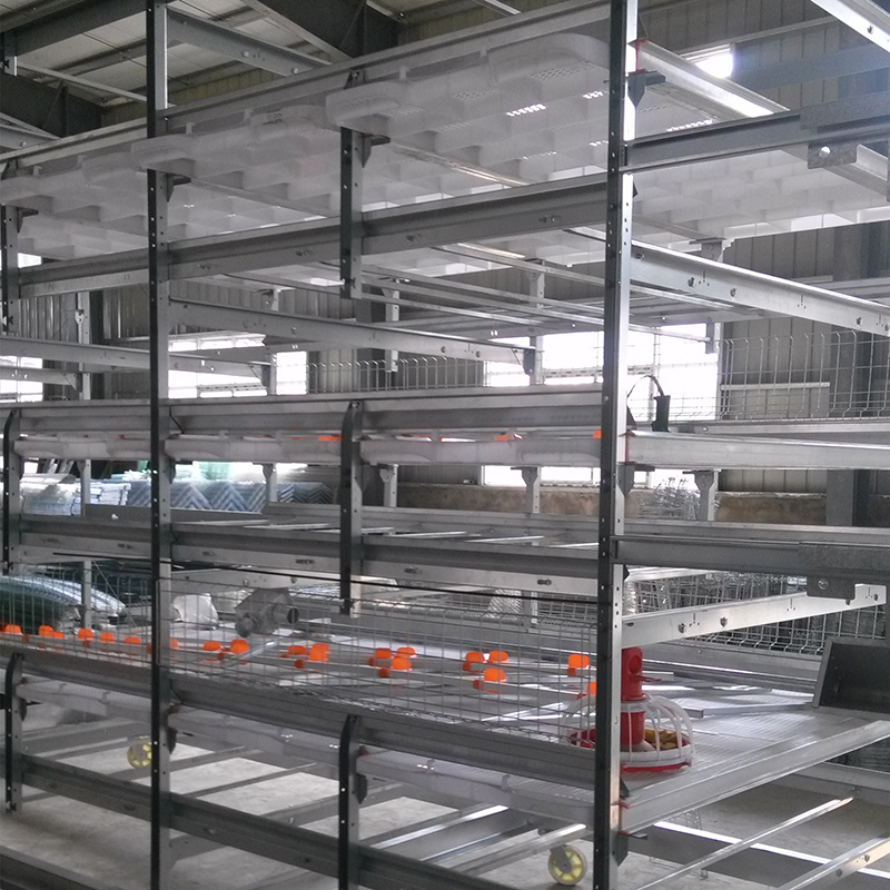 层叠肉鸡笼 (20)