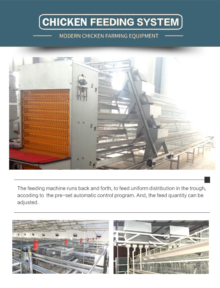 HTB1wwEsavLsK1Rjy0Fbq6xSEXXam