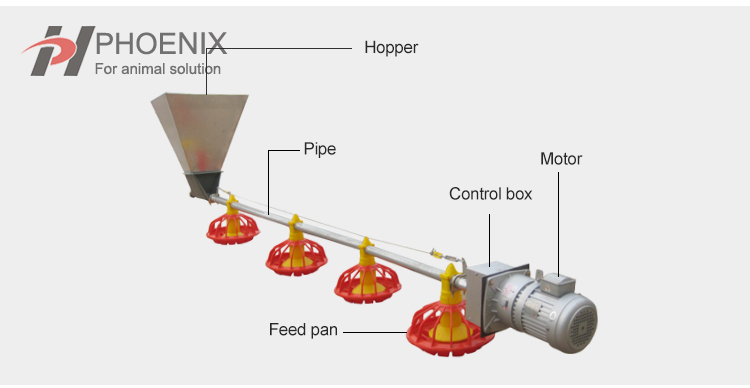 Sistema de alimentación automática Línea de alimentación y bebida para aves de corral
